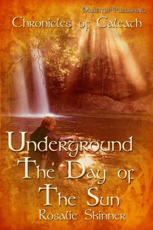 bigCover of the book Underground: Day of the Sun by 