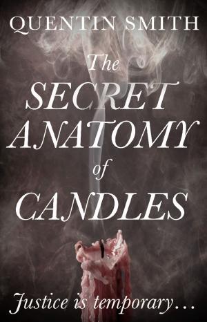Cover of the book The Secret Anatomy of Candles by Gill Jepson