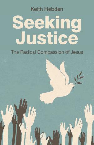Cover of the book Seeking Justice by Eugene Thacker