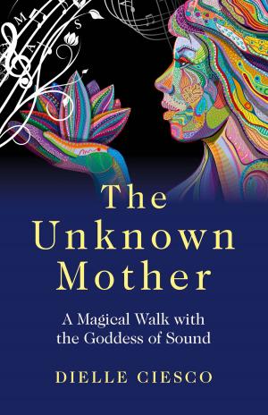 Cover of the book The Unknown Mother by Julie-Anne Sykley, Raed Zanoon