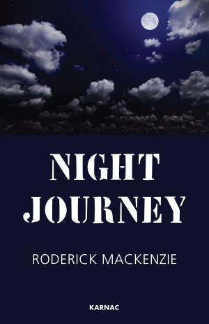 Cover of the book Night Journey by Jenny Stanton