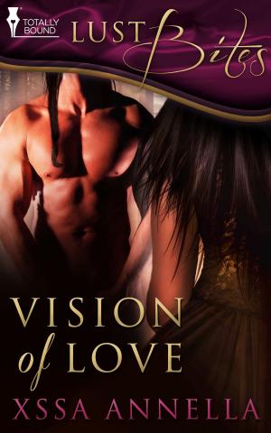 Cover of the book Vision of Love by L.M. Somerton