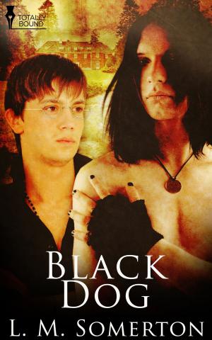 Cover of the book Black Dog by A.J. Llewellyn, Serena Yates