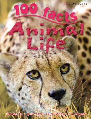 Cover of the book 100 Facts Animal Life by Steve Parker