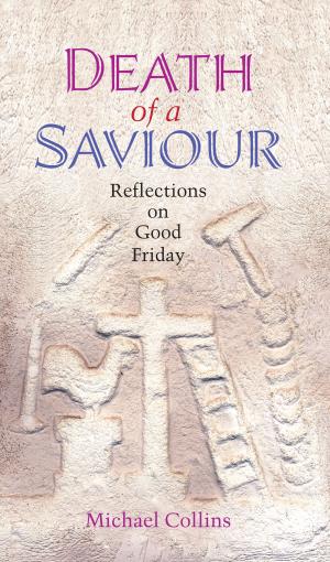 Book cover of Death of a Saviour: Reflections on Good Friday