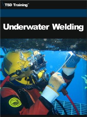 Cover of the book Underwater Welding by TSD Training