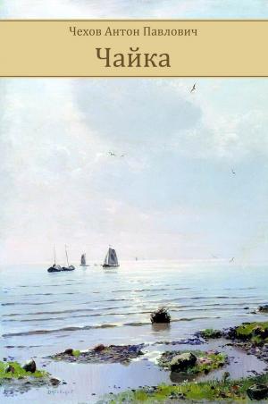 Cover of the book Chajka by Svjatitel' Ignatij  Brjanchaninov