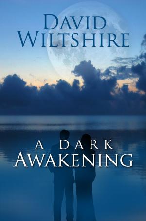 Cover of the book A Dark Awakening by Margaret Way
