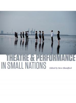 Cover of the book Theatre & Performance in Small Nations by Chris Smit
