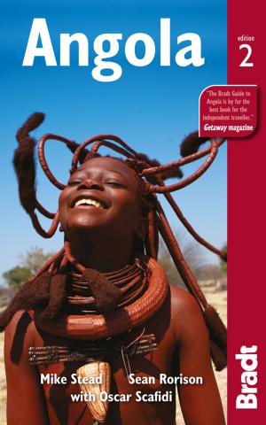 Cover of the book Angola by Jonathan Scott, Angela Scott, Brian Jackman