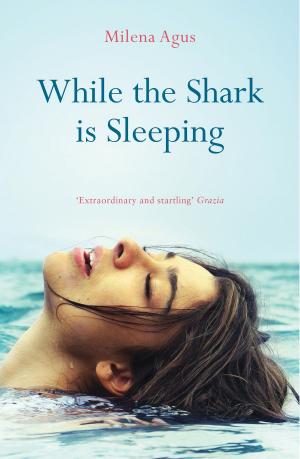 Cover of the book While the Shark is Sleeping by Adonis