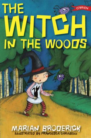 Cover of the book The Witch in the Woods by Prof. A. Norman Jeffares, Muriel Bolger
