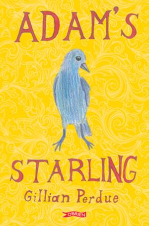Cover of the book Adam's Starling by Natasha Mac a'Bháird