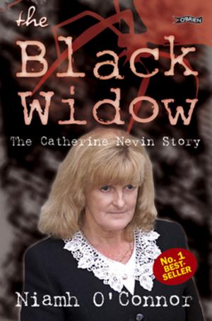 Cover of the book The Black Widow by Gerard Siggins