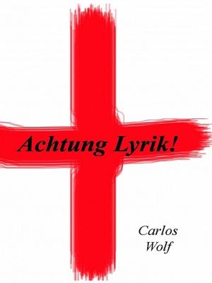 Cover of the book Achtung Lyrik! by Dr. Ahmed Gumaa Siddiek