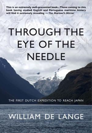 Cover of the book Through the Eye of the Needle by Sisonke Msimang