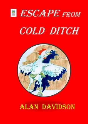 Cover of the book ESCAPE FROM COLD DITCH by Anne Digby