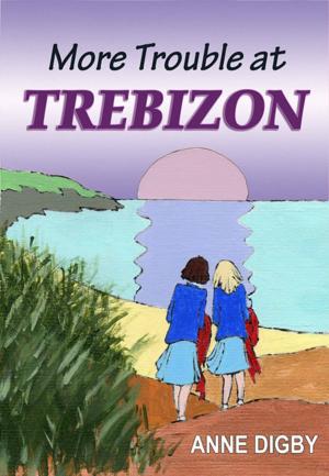 Cover of the book MORE TROUBLE AT TREBIZON by Alan Davidson