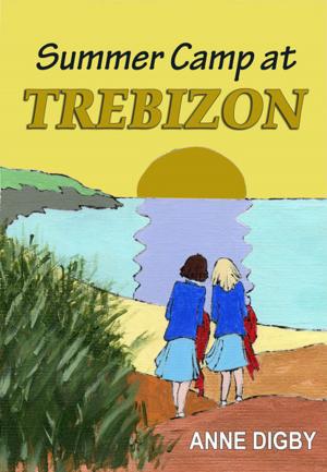 Cover of the book SUMMER CAMP AT TREBIZON by Anne Digby