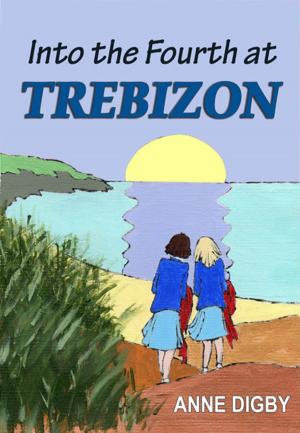 Cover of the book INTO THE FOURTH AT TREBIZON by Anne Digby