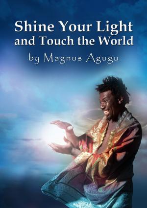 Cover of the book Shine Your Light and Touch The World by P. Seymour