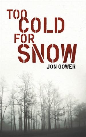 Cover of the book Too Cold for Snow by Robert Vrbnjak
