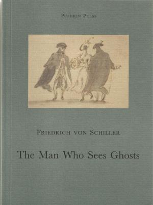 Cover of the book The Man Who Sees Ghosts by Miljenko Jergovic