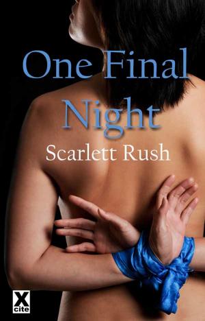 Cover of the book One Final Night by Caroline Doherty de Novoa