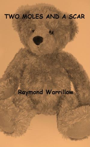 Cover of the book Two Moles And A Scar by Raymond Warrillow