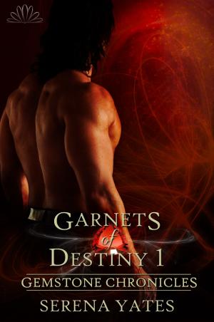 Book cover of Garnets of Destiny 1