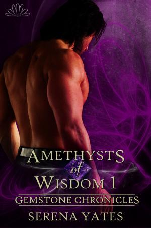 Cover of the book Amethysts of Wisdom 1 by Elizabeth Langston