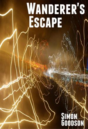 Book cover of Wanderer's Escape
