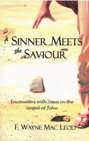Cover of the book A Sinner Meets the Saviour by Dr.Timothy Sng