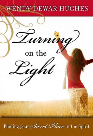 Cover of the book Turning on the Light by L.A. Zoe