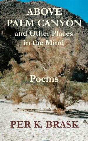 Cover of the book Above Palm Canyon and Other Places in the Mind by Per K. Brask