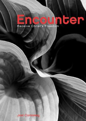 Cover of the book Encounter by Ashley Smith