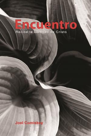 Cover of the book Encuentro by Joel Comiskey, Jim Egli