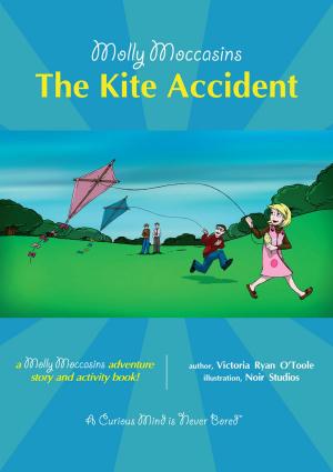 Book cover of The Kite Accident