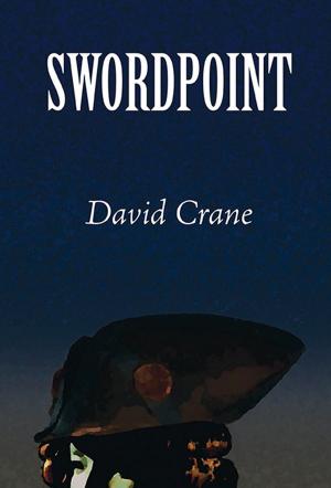 Cover of the book Swordpoint by Stephen J. Schrader