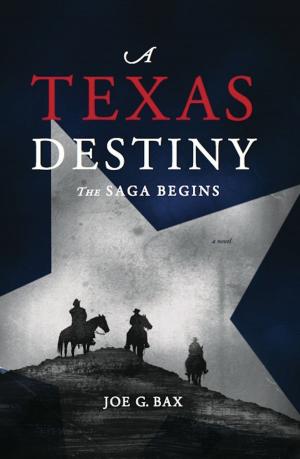 Cover of the book A Texas Destiny, the Saga Begins by Peter van Stralen