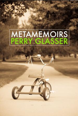 Cover of the book metamemoirs by Matt Prager