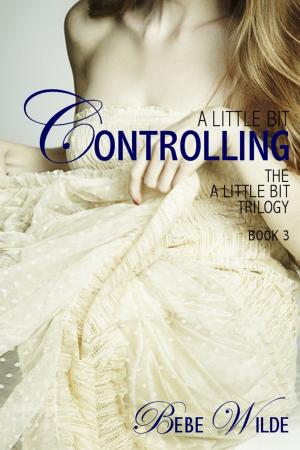 Cover of the book A Little Bit Controlling by Lolly LaFontaine