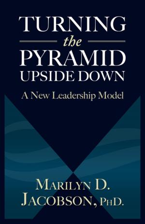 Cover of the book Turning the Pyramid Upside Down by Stephanie McCrummen, The Washington Post