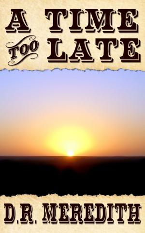 Cover of the book A Time Too Late by D.R. Meredith