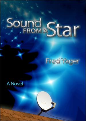 Cover of the book Sound from a Star by Jan Yager