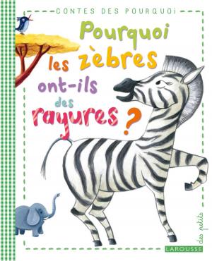 Cover of the book Pourquoi les zèbres ont-ils des rayures ? by Louise Browaeys, Hélène Schernberg