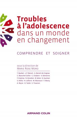 Cover of the book Troubles à l'adolescence dans un monde en changement by Jean-Cassien Billier