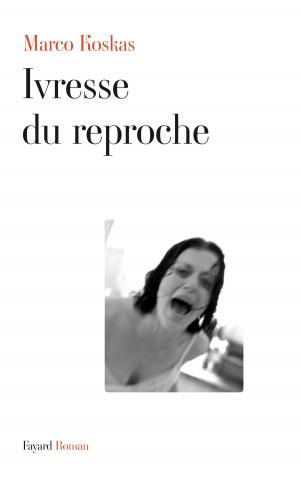 Cover of the book Ivresse du reproche by Gaëtan Gorce