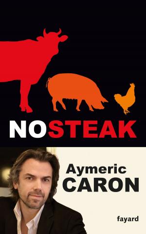 Cover of the book No steak by Patrick Poivre d'Arvor