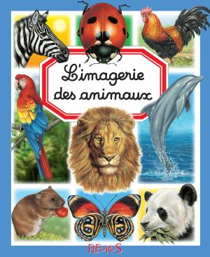 Cover of the book L'imagerie des animaux by Geneviève Guilbault, Marilou Addison